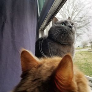 Meet your Posher, Tyler